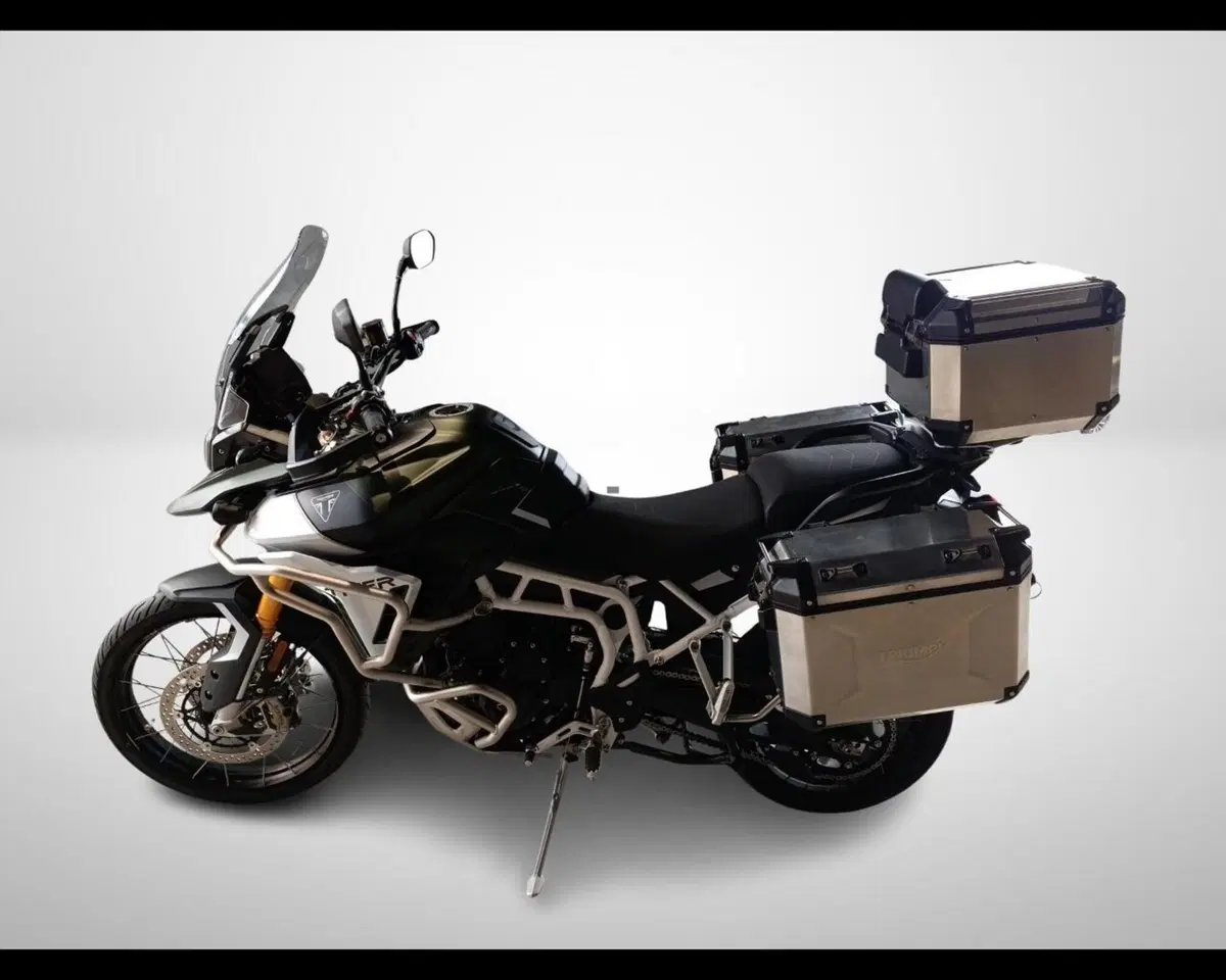 Triumph Tiger 900 Rally Pro (2024 - 26) (4)