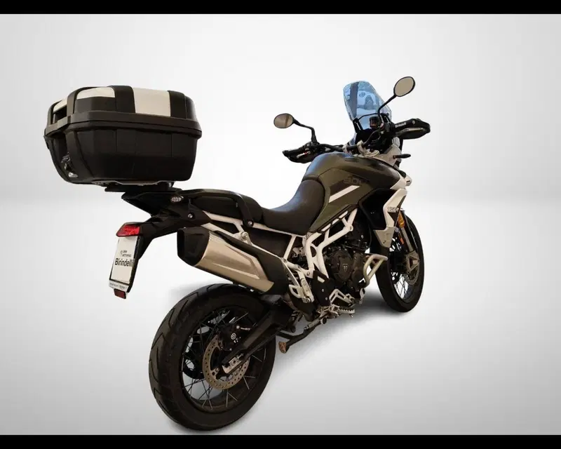 Triumph Tiger 900 Rally Pro (2020 - 23) (3)