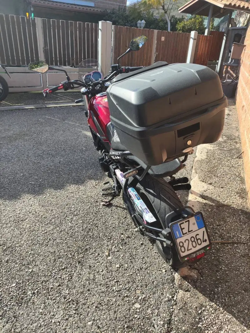 Benelli Leoncino 500 (2021 - 25) (6)