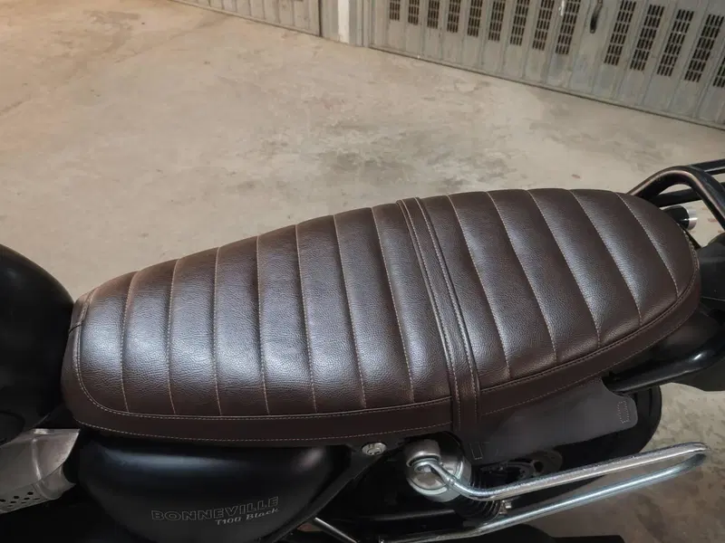 Triumph Bonneville T100 Black (2017 - 20) (5)