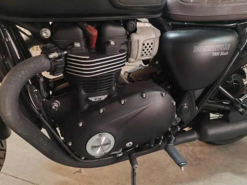 Triumph Bonneville T100 Black (2017 - 20) (6)