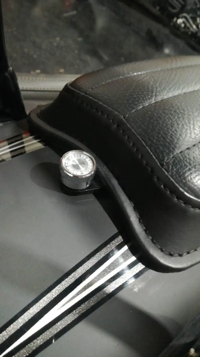 Harley-Davidson Softail Convertible FLSTSE 110 (2012) (6)