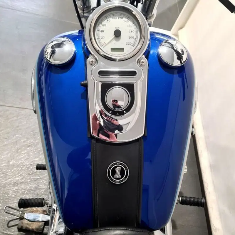 Harley-Davidson 1584 Super Glide Custom (2007) - FXDC (6)