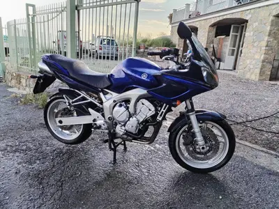 Yamaha FZ6 Fazer (2004 - 07) usata