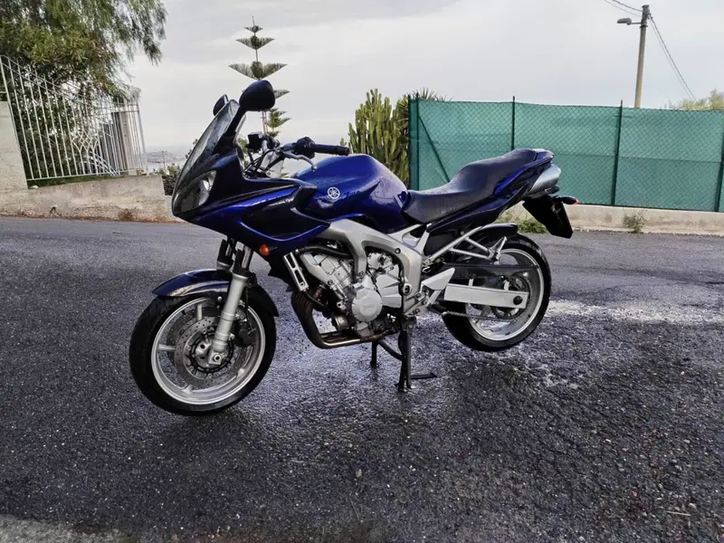 Yamaha FZ6 Fazer (2004 - 07) (3)