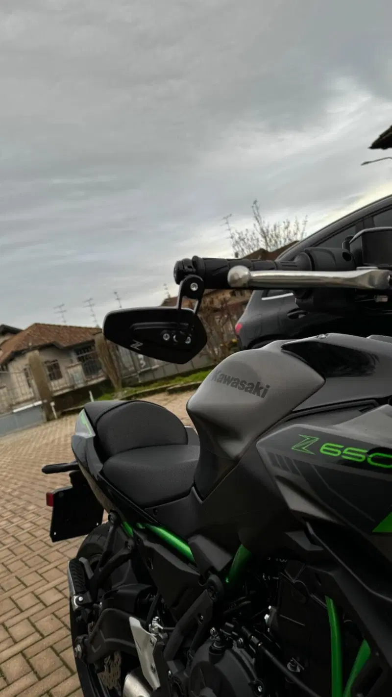 Kawasaki Z 650 Sport (2021 - 24) (4)