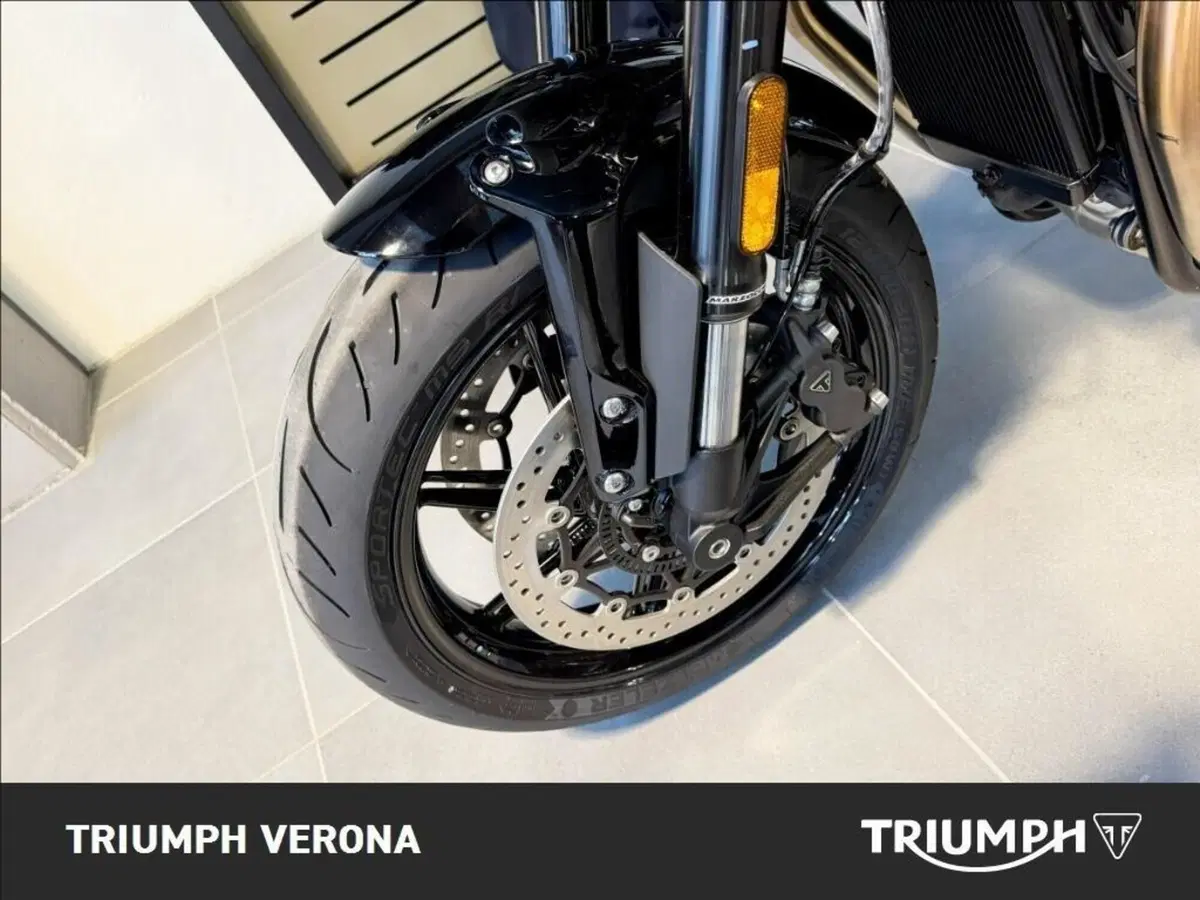 Triumph Speed Twin 1200 (2025 - 26) (8)