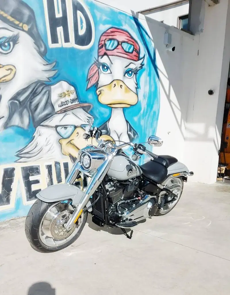 Harley-Davidson Fat Boy 117 (2025 - 26) (4)