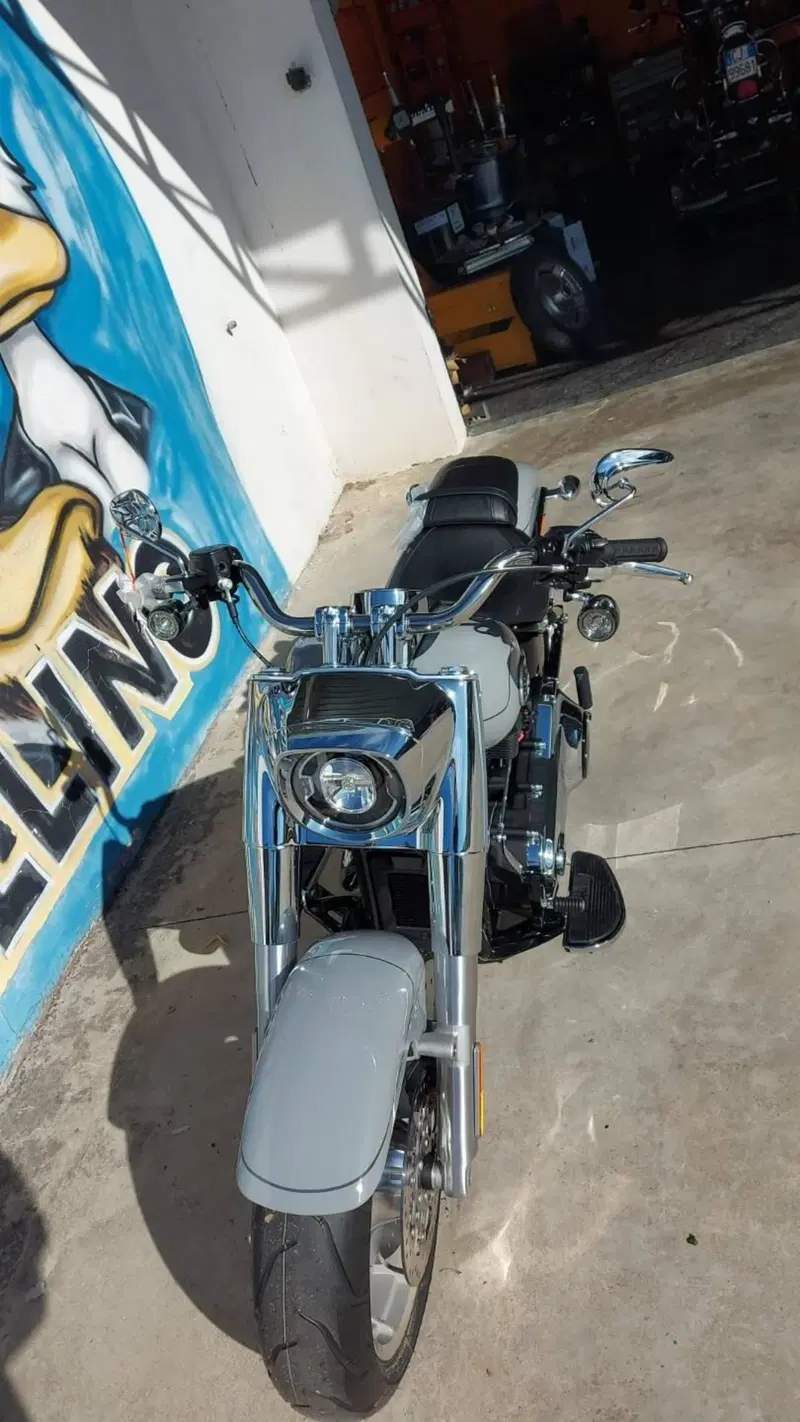Harley-Davidson Fat Boy 117 (2025 - 26) (6)