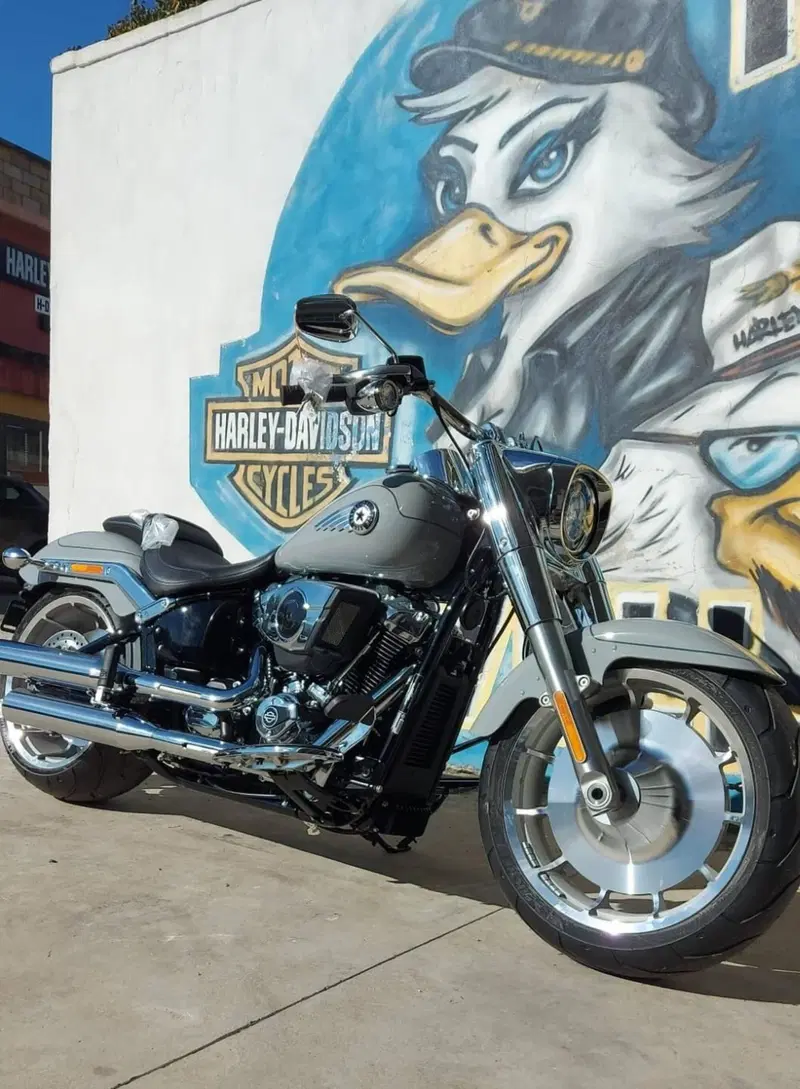 Harley-Davidson Fat Boy 117 (2025 - 26) (8)