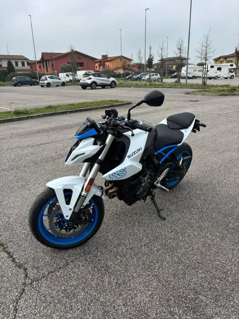 Suzuki GSX-8S (2023 - 24) (3)