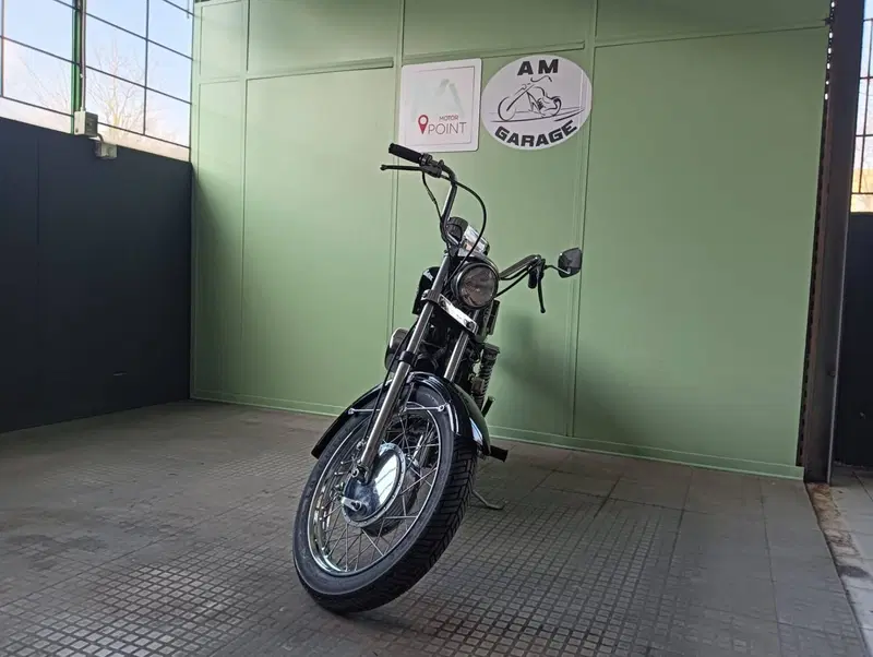Harley-Davidson Ironhead 1000  (3)