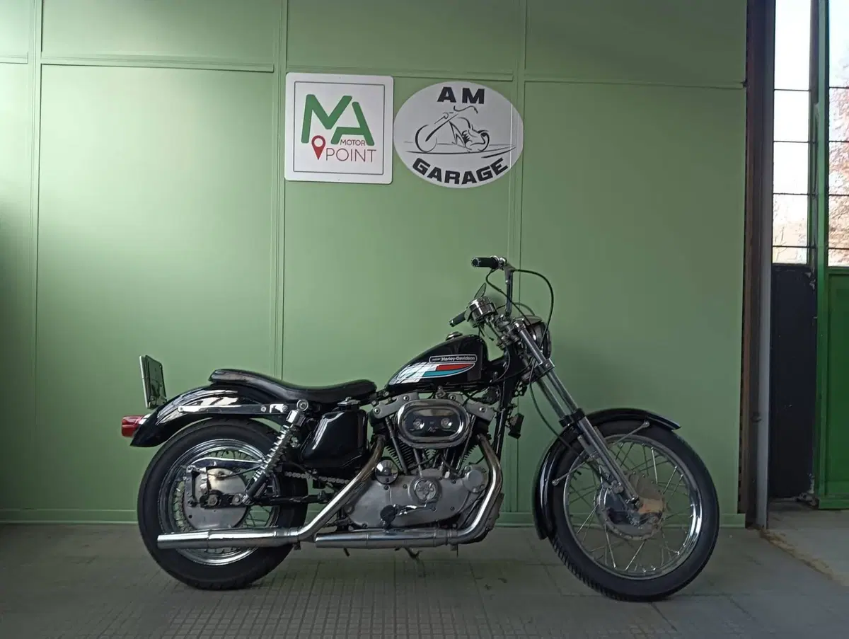 Harley-Davidson Ironhead 1000  (4)