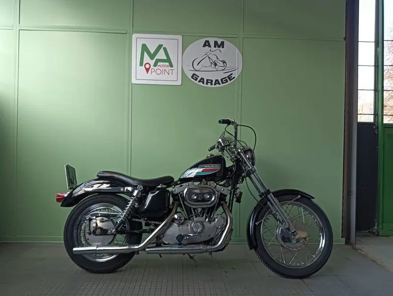 Harley-Davidson Ironhead 1000  (4)