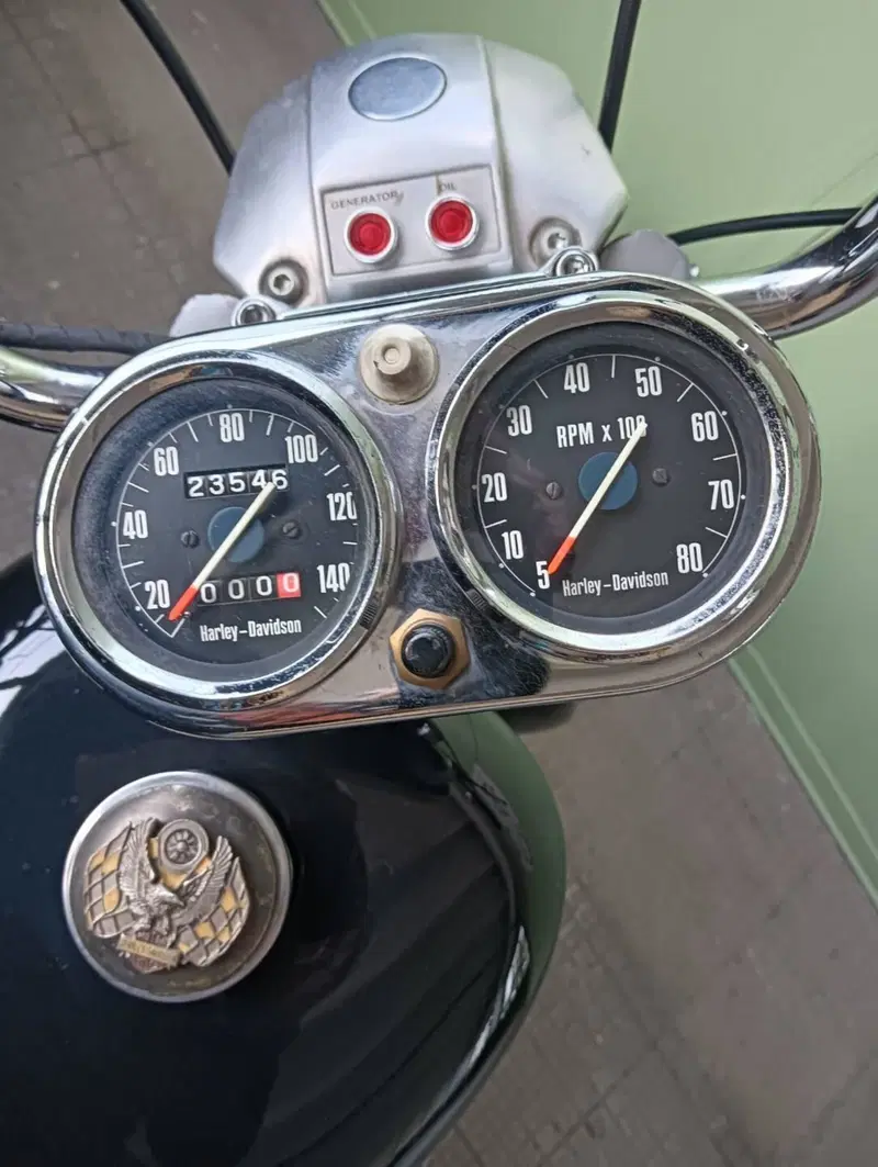 Harley-Davidson Ironhead 1000  (5)