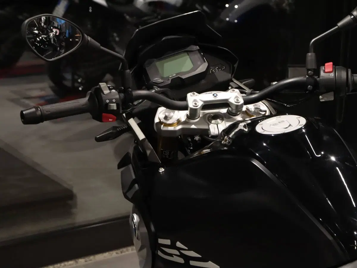 Bmw G 310 GS (2021 - 25) (9)