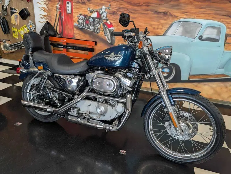 Harley-Davidson 883 Custom (2001 - 05) - XL 53C (8)