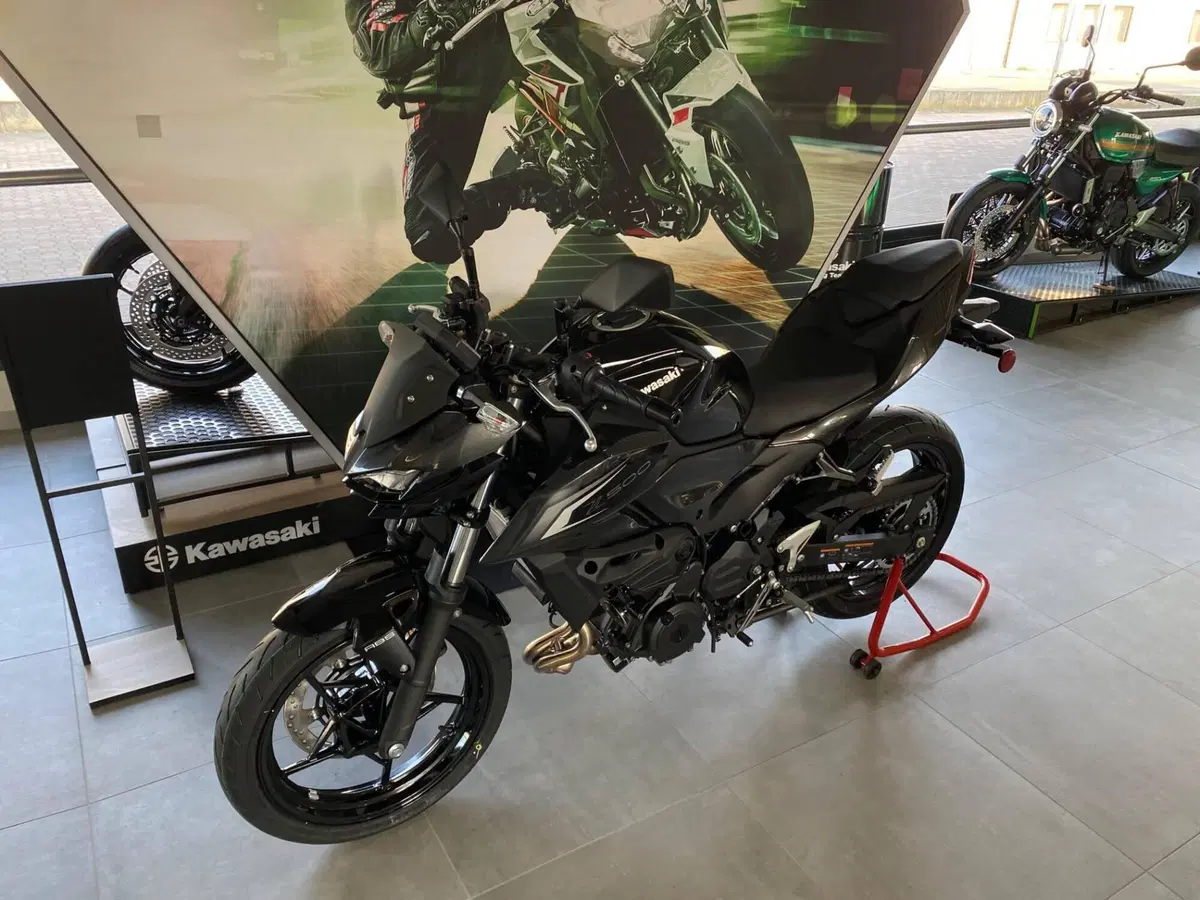 Kawasaki Z 500 (2024 - 26) (5)
