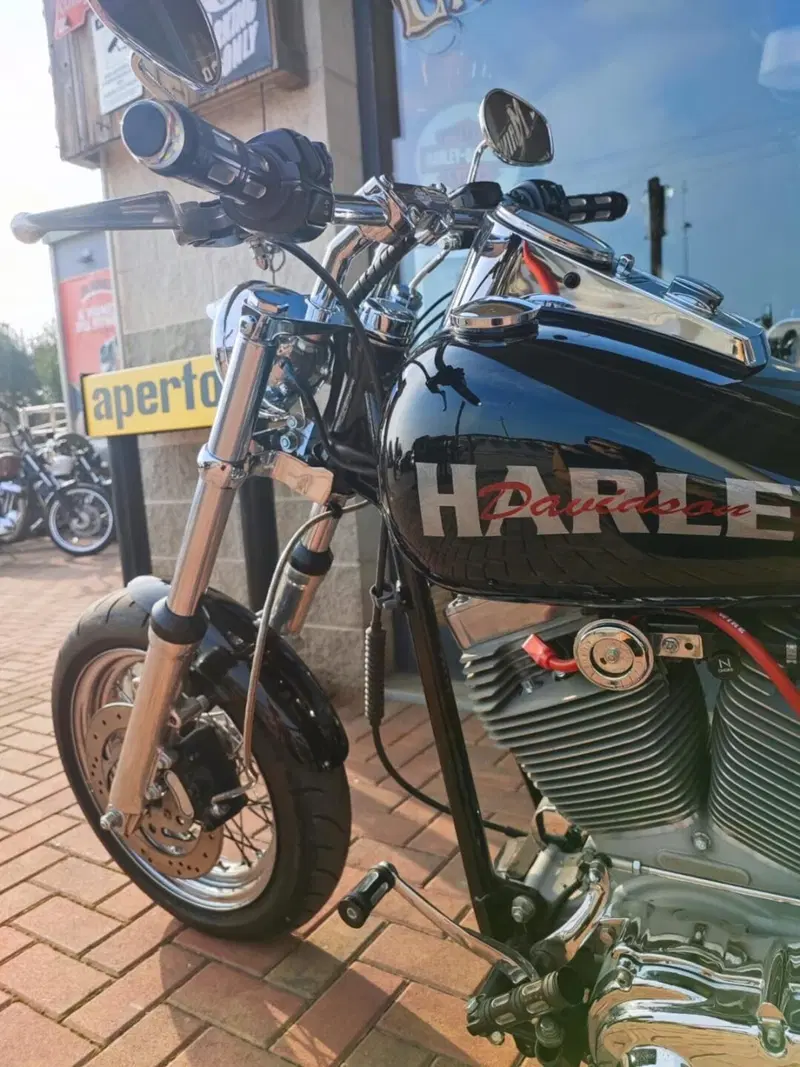 Harley-Davidson 1450 Standard (2002 - 05) - FXSTI (11)