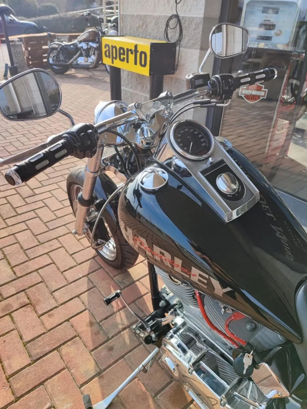 Harley-Davidson 1450 Standard (2002 - 05) - FXSTI (12)