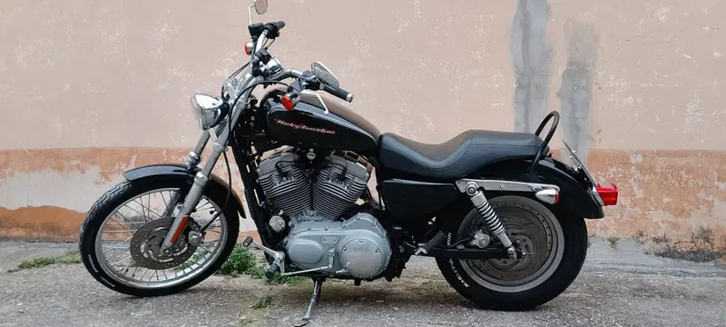 Harley-Davidson 883 Custom (2001 - 05) - XL 53C (2)