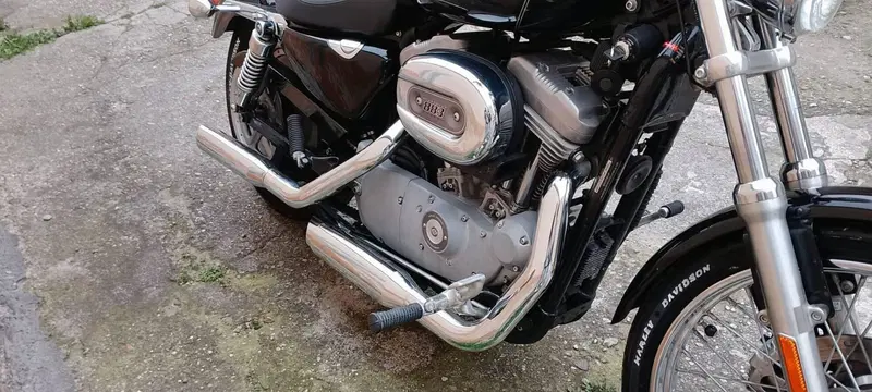 Harley-Davidson 883 Custom (2001 - 05) - XL 53C (6)
