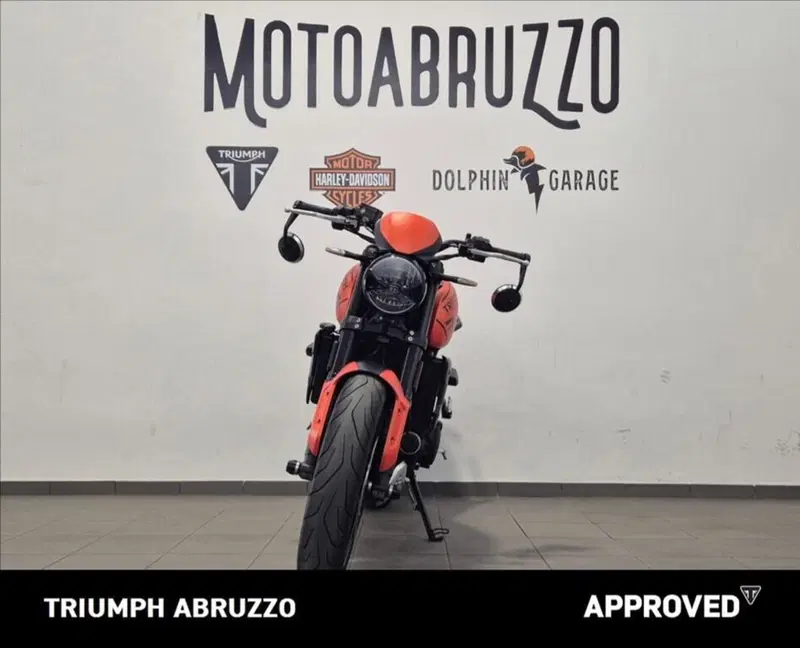 Triumph Trident 660 (2021 - 24) (6)