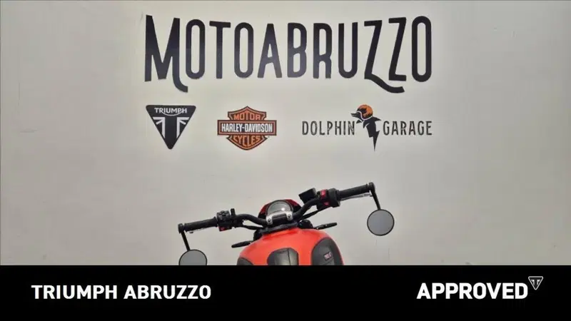 Triumph Trident 660 (2021 - 24) (11)
