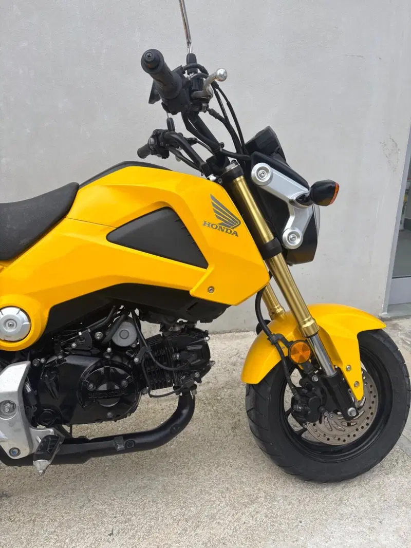 Honda MSX 125 (2013 - 15) (6)