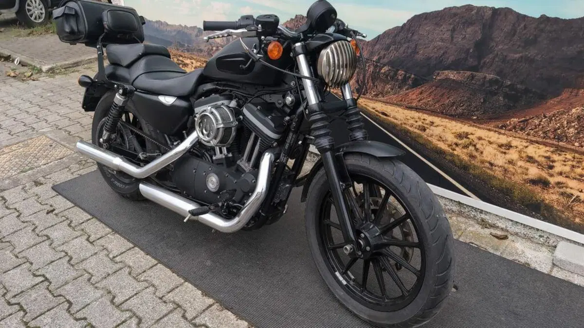 Harley-Davidson 883 Iron (2012 - 14) - XL 883N (4)