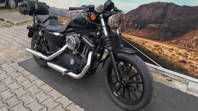 Harley-Davidson 883 Iron (2012 - 14) - XL 883N (4)