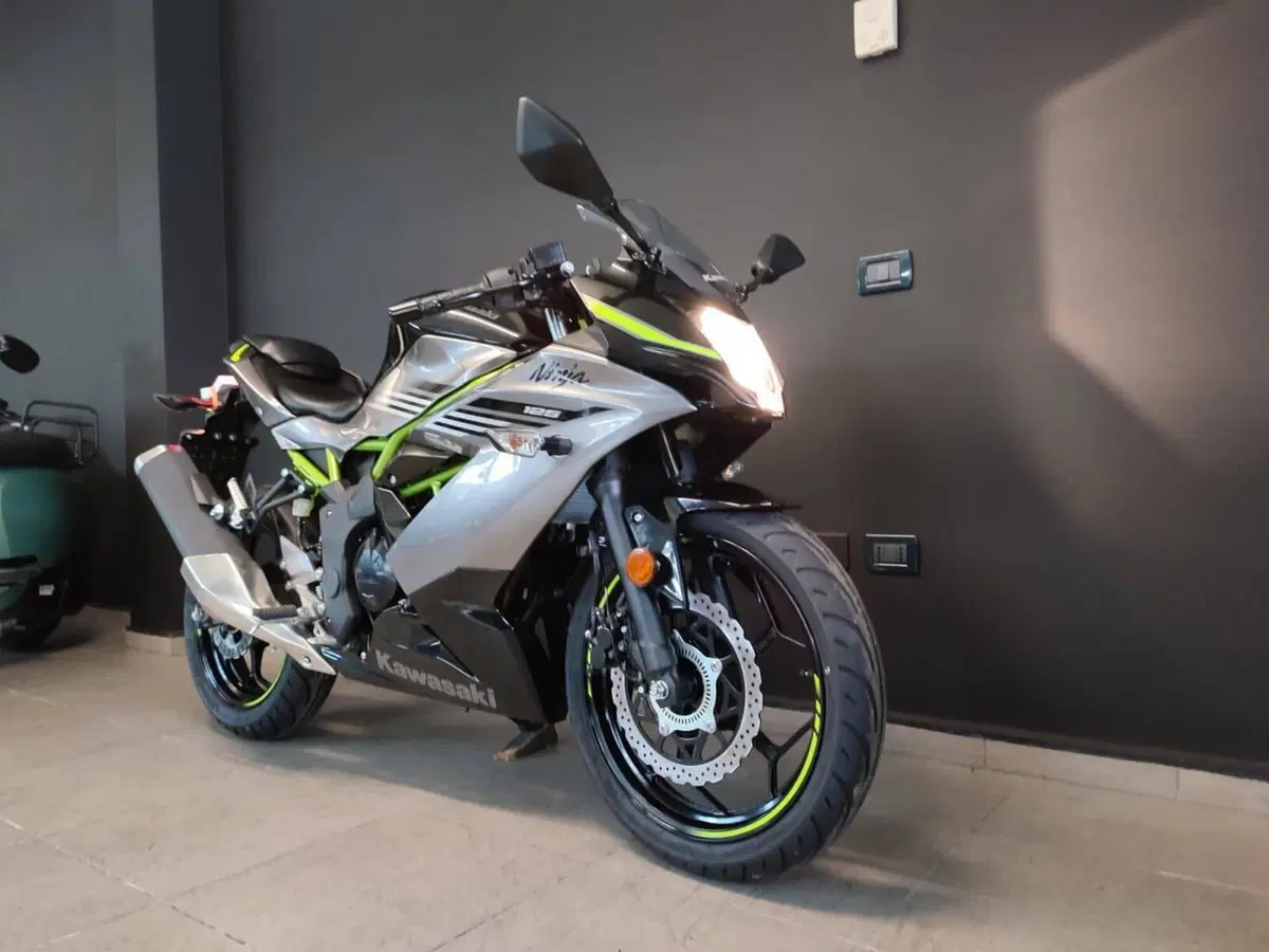 Kawasaki Ninja 125 (2025 - 26) (4)