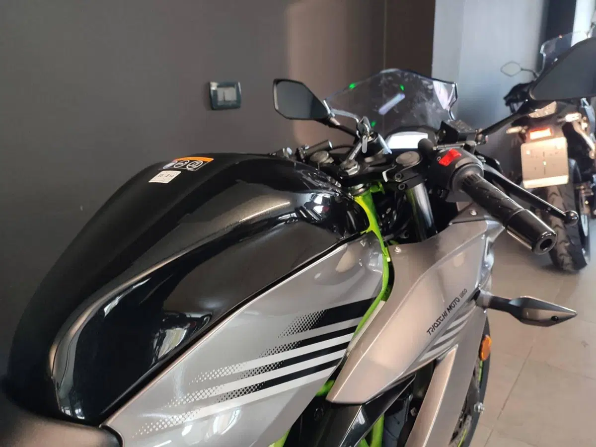 Kawasaki Ninja 125 (2025 - 26) (5)