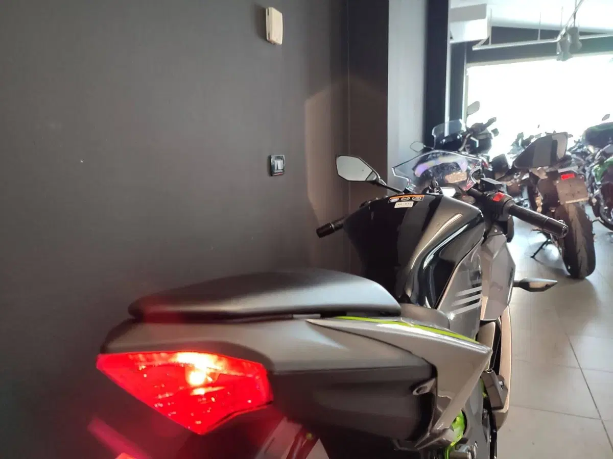 Kawasaki Ninja 125 (2025 - 26) (6)