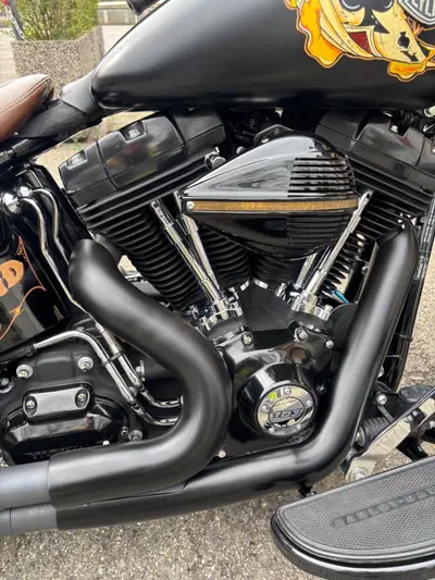 Harley-Davidson 1690 Slim (2011 - 16) - FLS usata