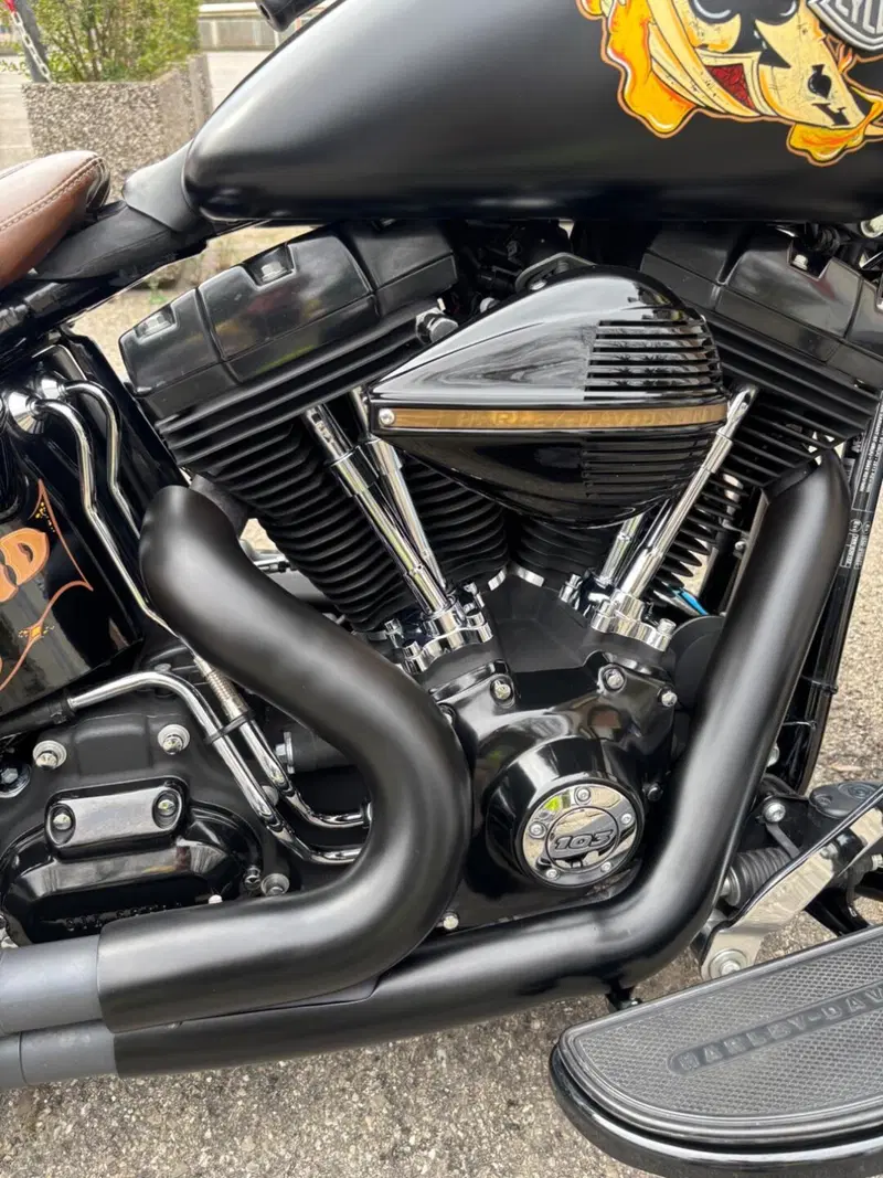Harley-Davidson 1690 Slim (2011 - 16) - FLS