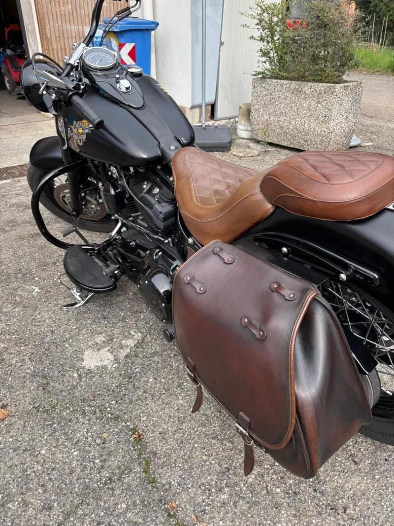 Harley-Davidson 1690 Slim (2011 - 16) - FLS (6)