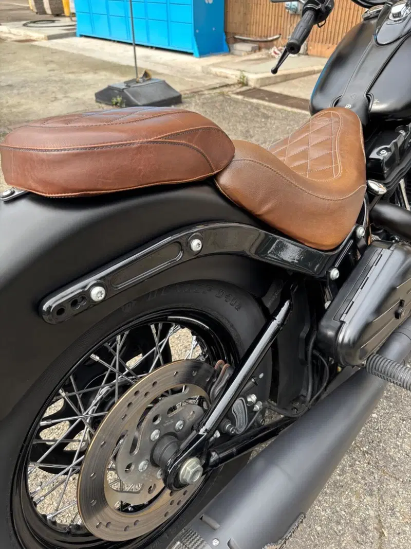 Harley-Davidson 1690 Slim (2011 - 16) - FLS (7)