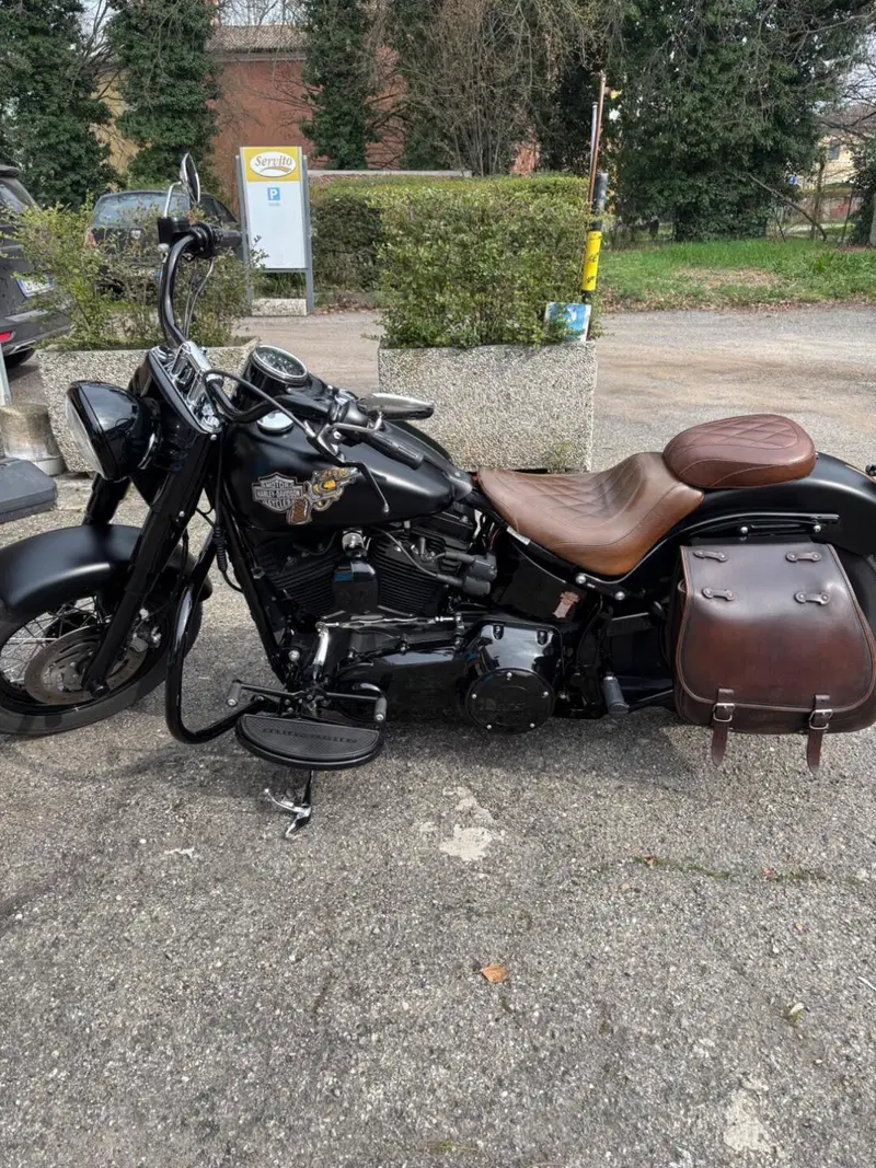 Harley-Davidson 1690 Slim (2011 - 16) - FLS (12)