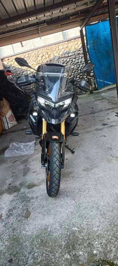 Voge Valico 525DSX (2023 - 26) usata