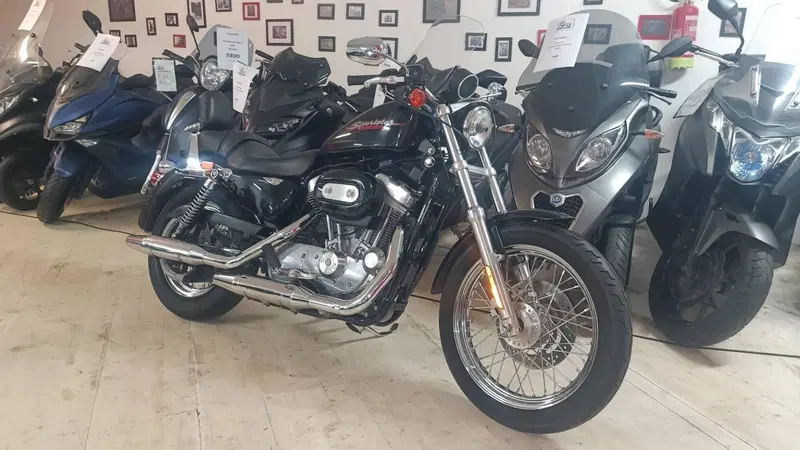 Harley-Davidson 883 Standard (2001 - 05) - XL 883 (2)