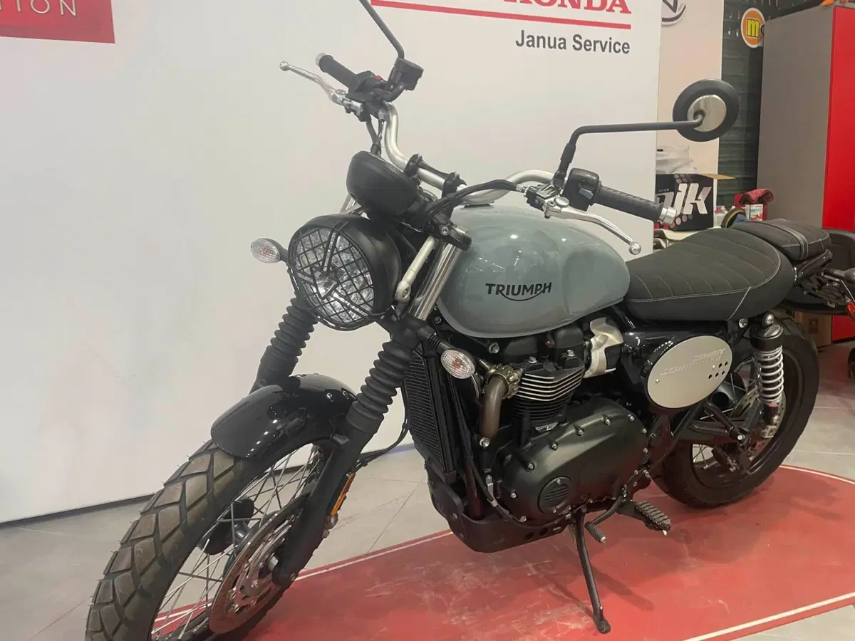Triumph Street Scrambler 900 (2021 - 22) (11)
