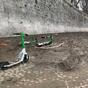 Roma, monopattini abbandonati sulle rive del Tevere