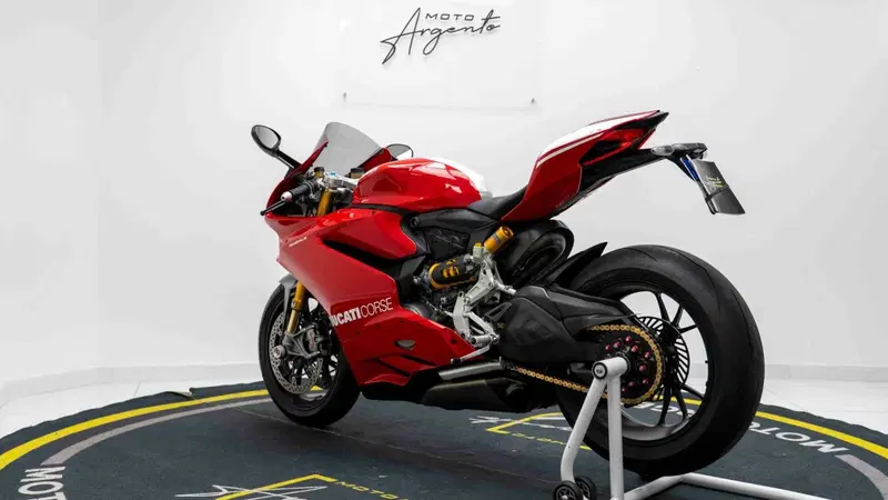 Ducati 1199 Panigale R ABS (2013 - 17) (5)