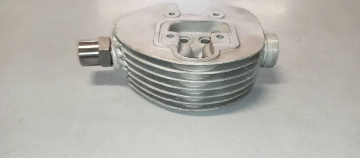 TESTA RACING MOTO MORINI 50 CORSARINO (4)