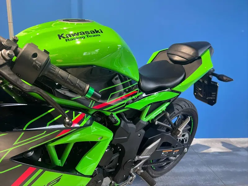 Kawasaki Ninja 125 (2021 - 24) (5)