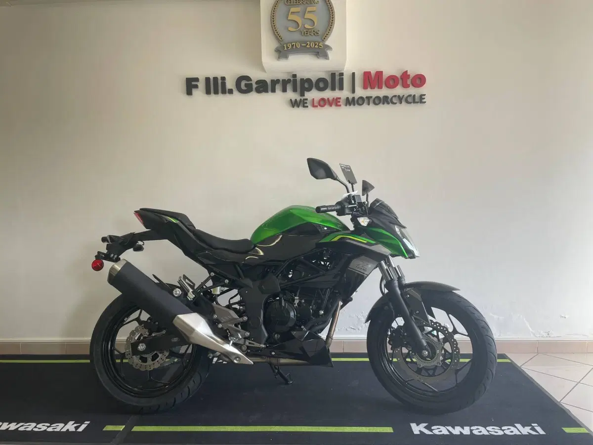 Kawasaki Z 125 (2025 - 26) (2)