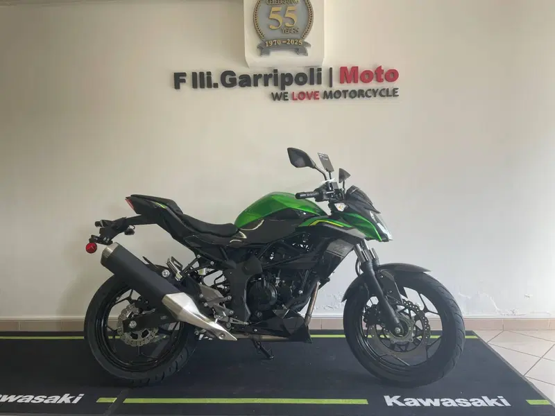 Kawasaki Z 125 (2025 - 26) (2)