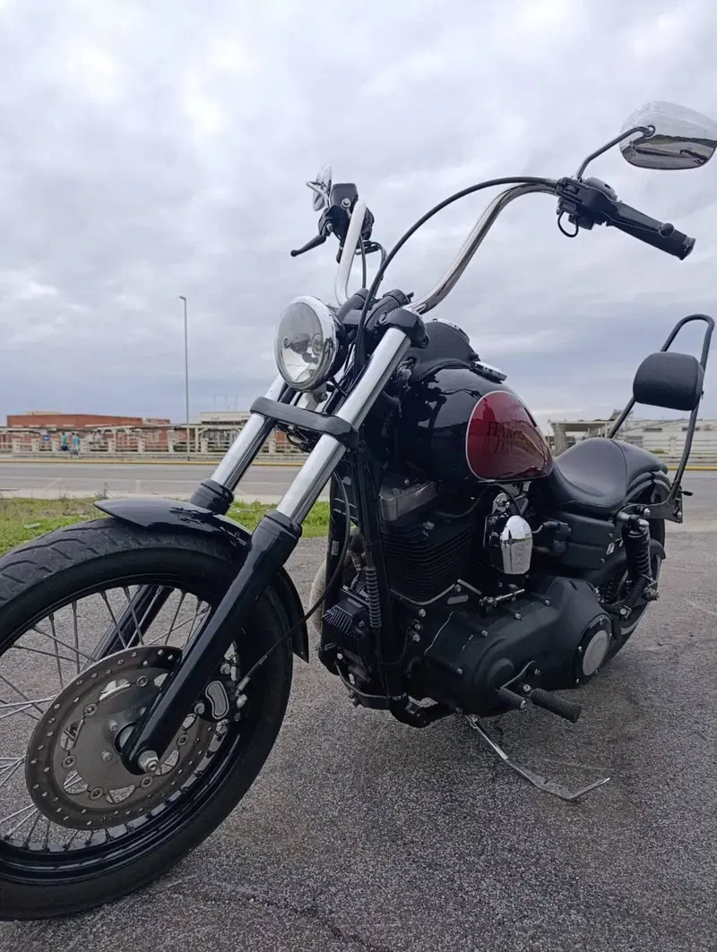 Harley-Davidson 1584 Street Bob (2008 - 15) - FXDB (3)