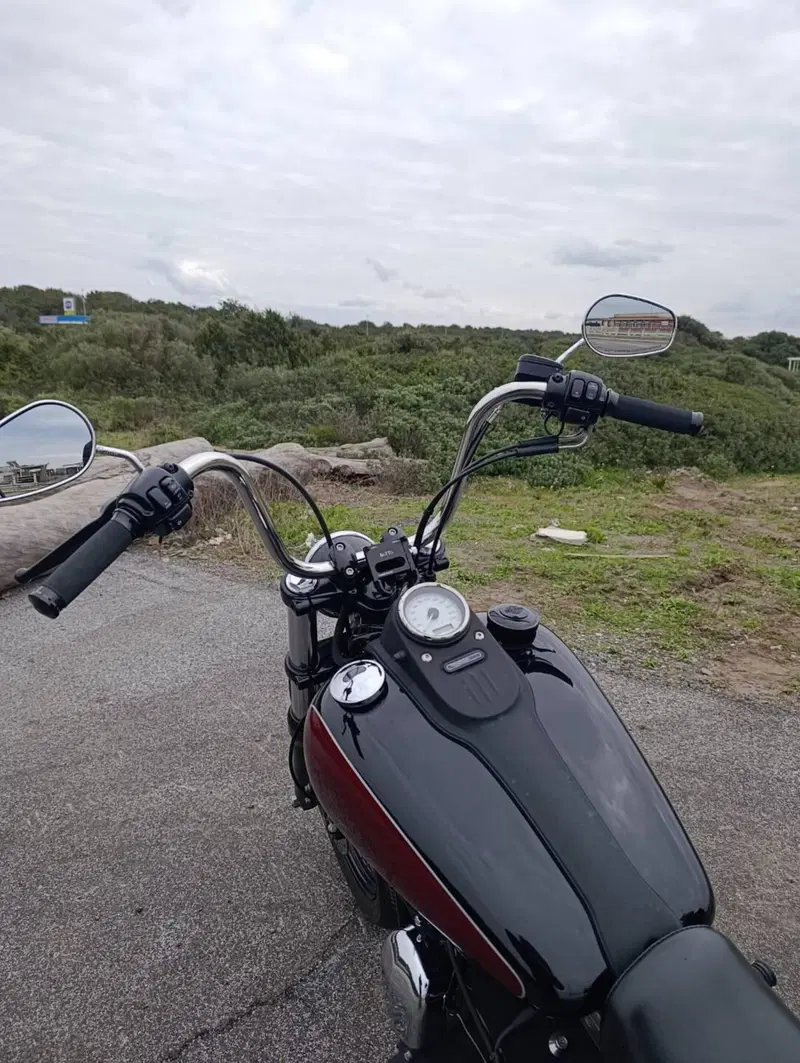 Harley-Davidson 1584 Street Bob (2008 - 15) - FXDB (5)